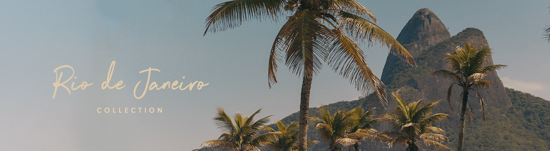 Dress To Winter 2025 Rio de Janeiro Collection launch banner, featuring tropical palm trees, blue sky gradient, and iconic Rio de Janeiro mountain landscape.